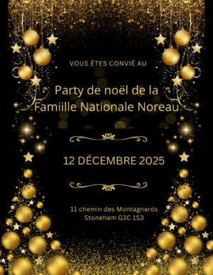 Forfaits Party de Noël